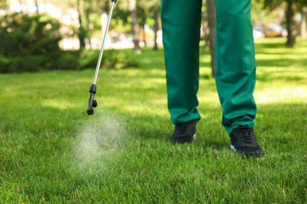 Best Local Pest Control Services  in Clemson, SC