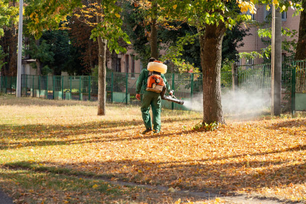 Best Commercial Pest Control Services  in Clemson, SC