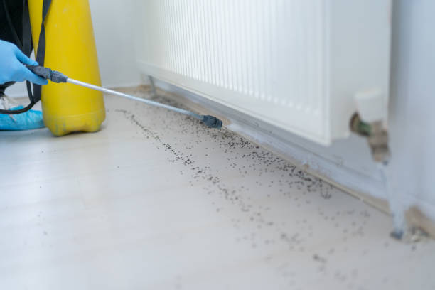 Best Best Pest Control Companies  in Clemson, SC