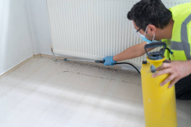Best Pest Inspection Near Me  in Clemson, SC